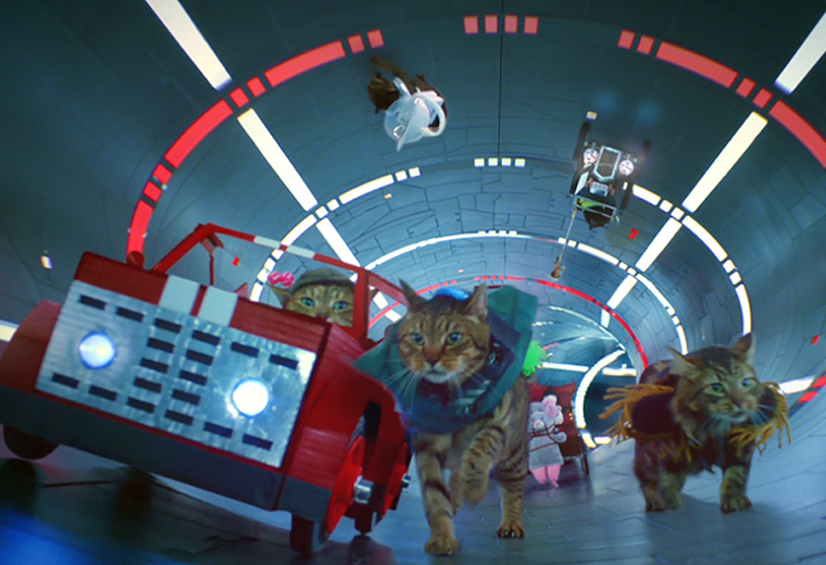 Virgin Media has created a meow-nificent piece of social content