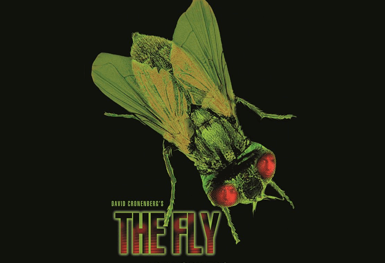 The Fly