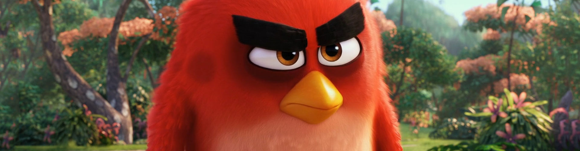 8 angriest movie birds