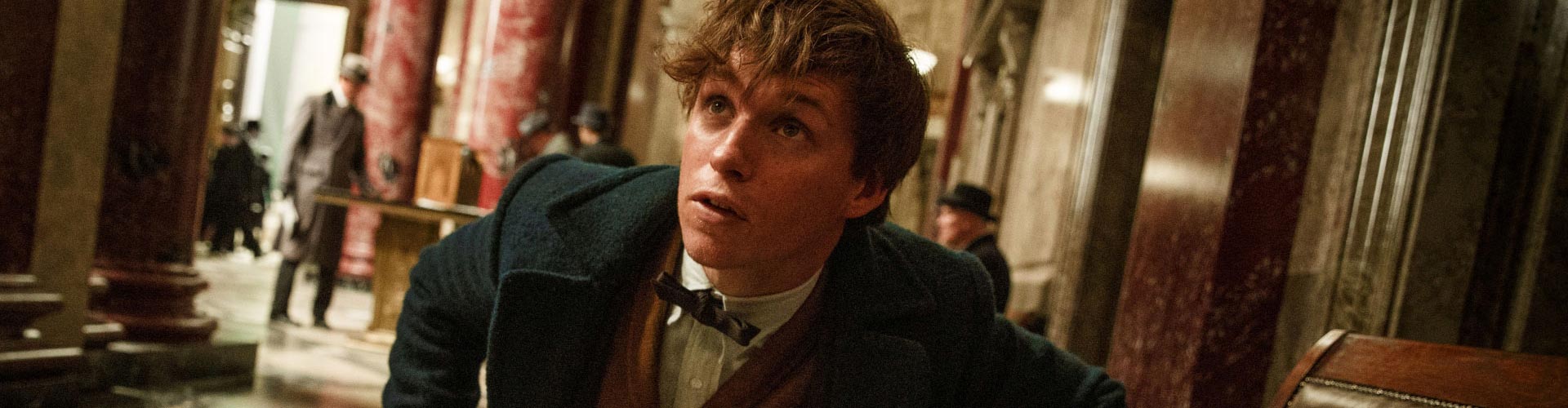 Fantastic Beasts has a fantastic new trailer