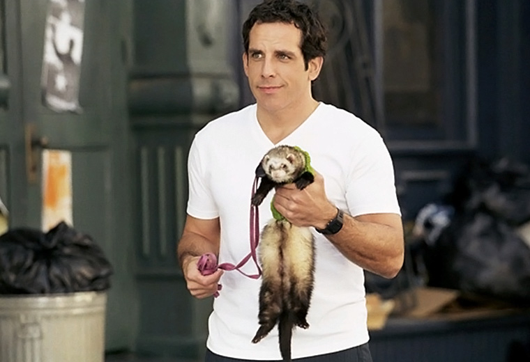 The way to a girl’s heart is through her ferret