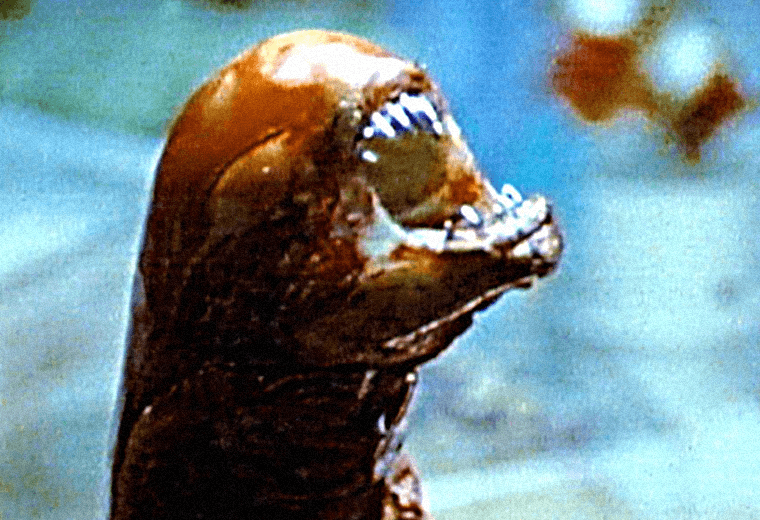 Alien the chestburster: the look of shock and awe on everyone's faces is absolutely genuine.
