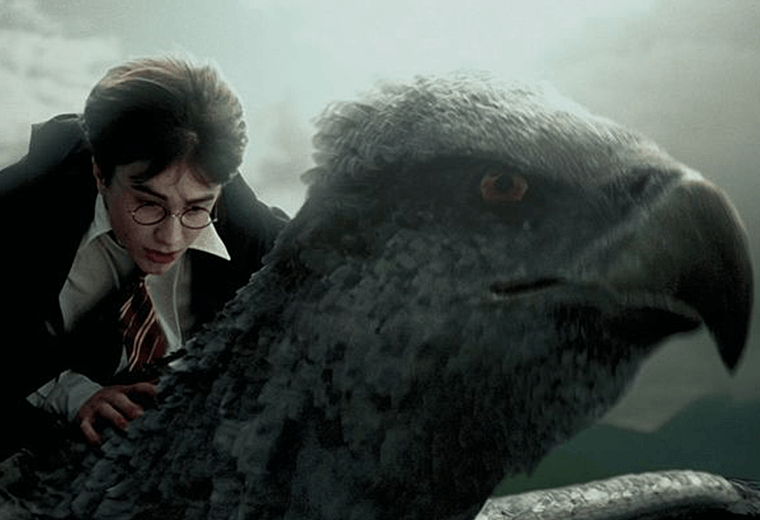 The Hippogriff gives Harry a joyous tour of Hogwarts by air.