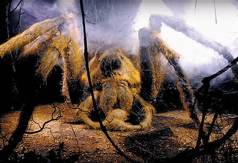 "Follow the spiders!" said Hagrid.