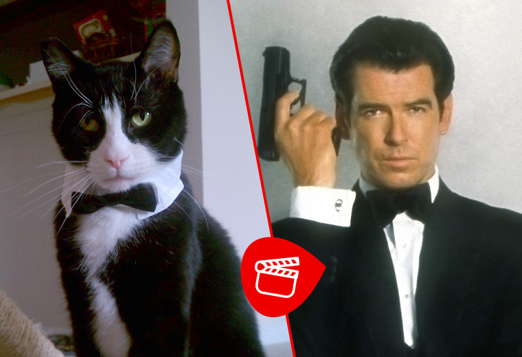 “I’ll have milk. Shaken, not stirred”