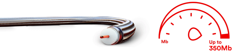 Vivid cable