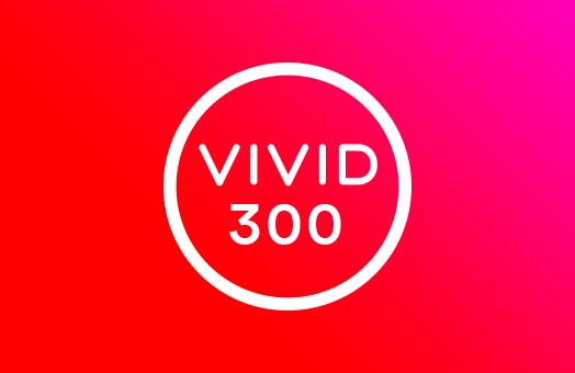 VIVID 300 GAMER