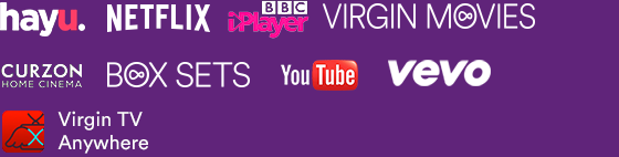 Netflix, BBC iPlayer, Virgin Movies, Curzon Home Cinema, YouTube