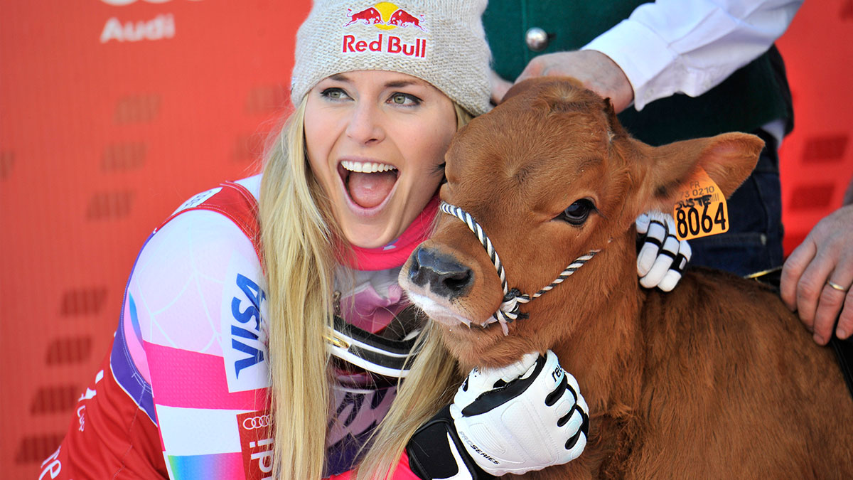 Lindsey Vonn with a cow