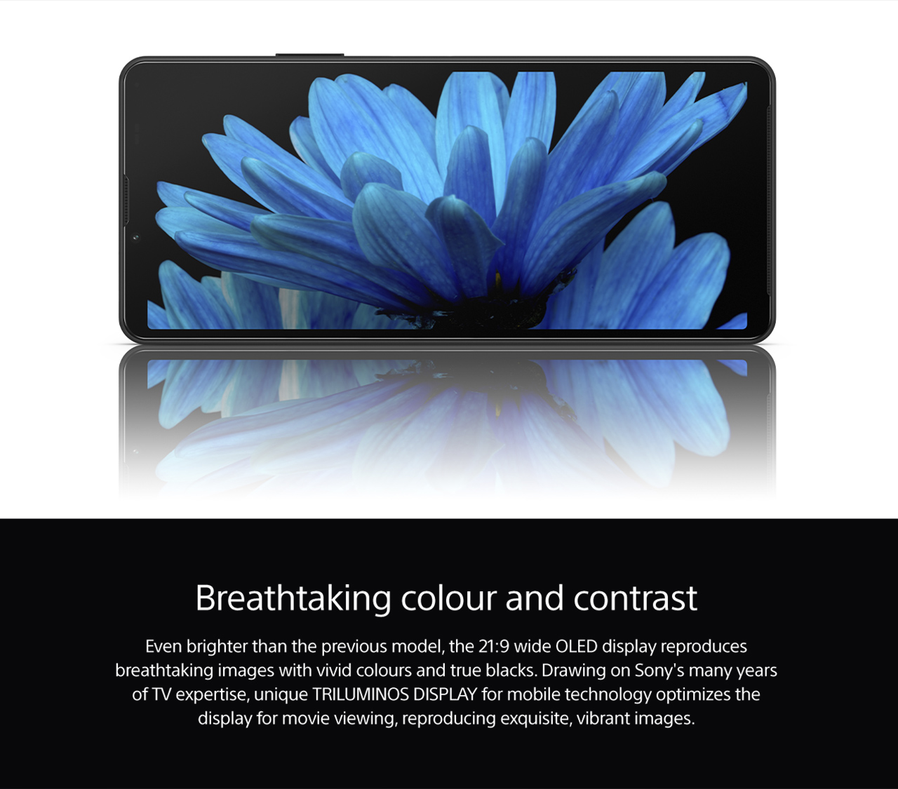 Sony Xperia 5 III