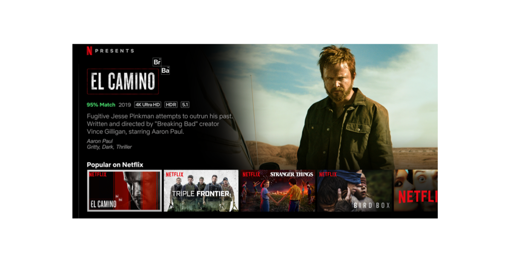 Netflix, a stream come true