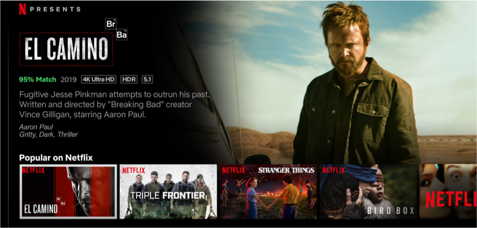 Netflix, a stream come true