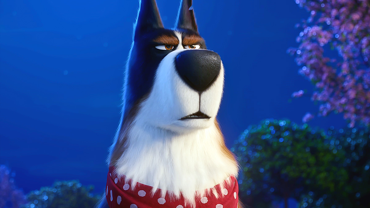Rooster the Sheepdog in The Secret Life Of Pets 2, voiced by Harrison Ford