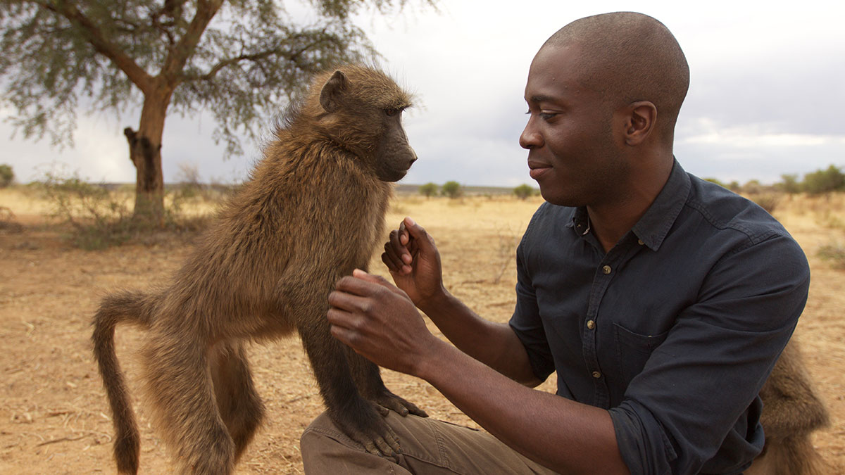 Biologist Patrick Ayree in Monkeys: An Amazing Animal Family