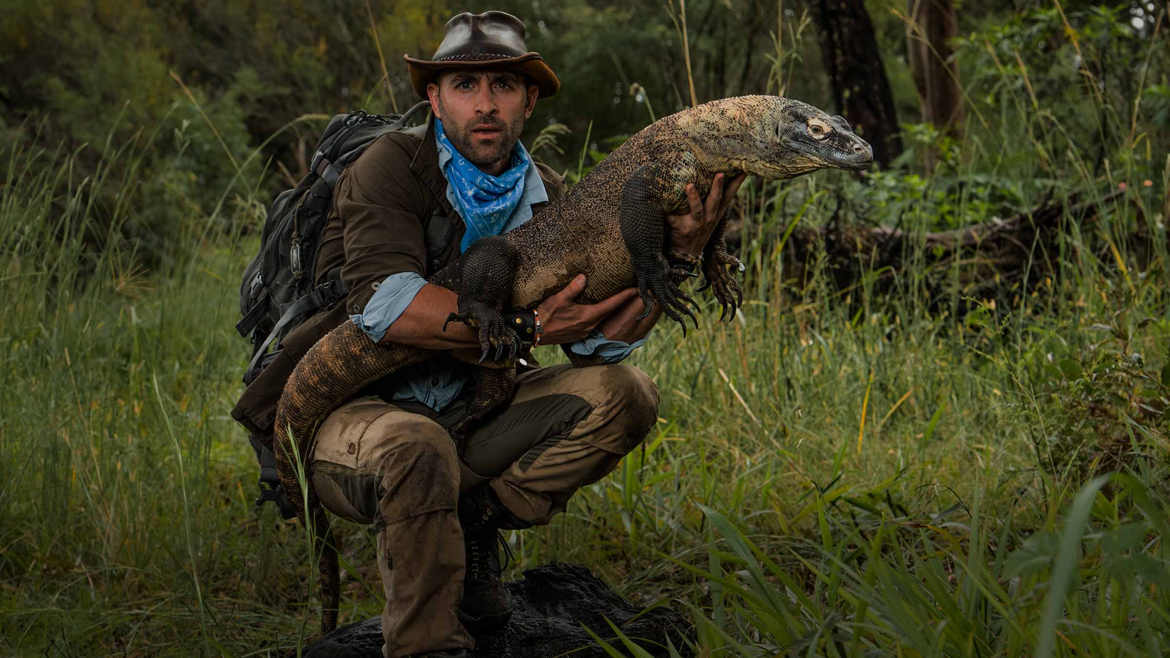 peterson coyote