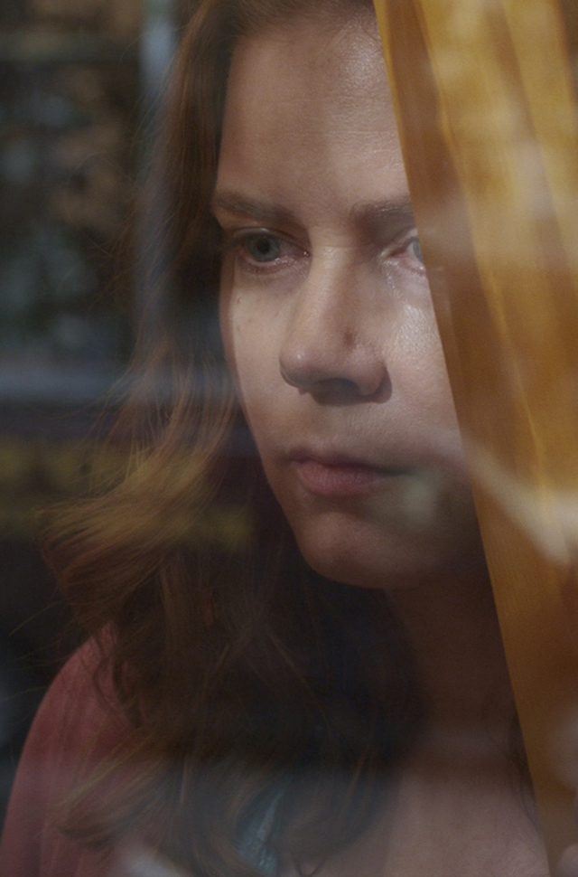 Amy Adams in Netflix Original The Woman In The Window