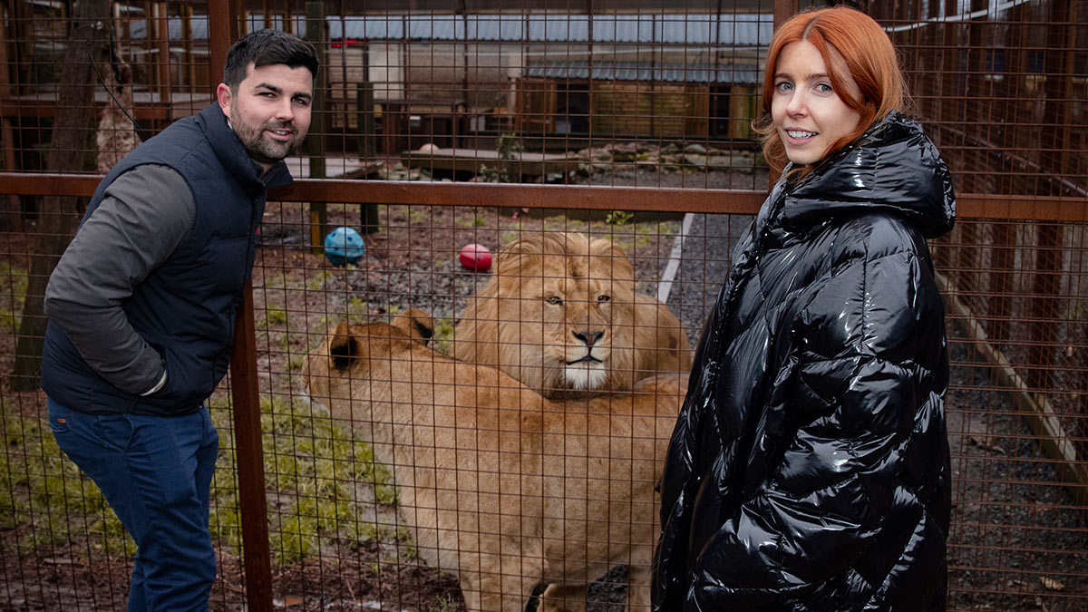 Stacey Dooley with The British Lion King Family in series 2 of Stacey Dooley Sleeps Over