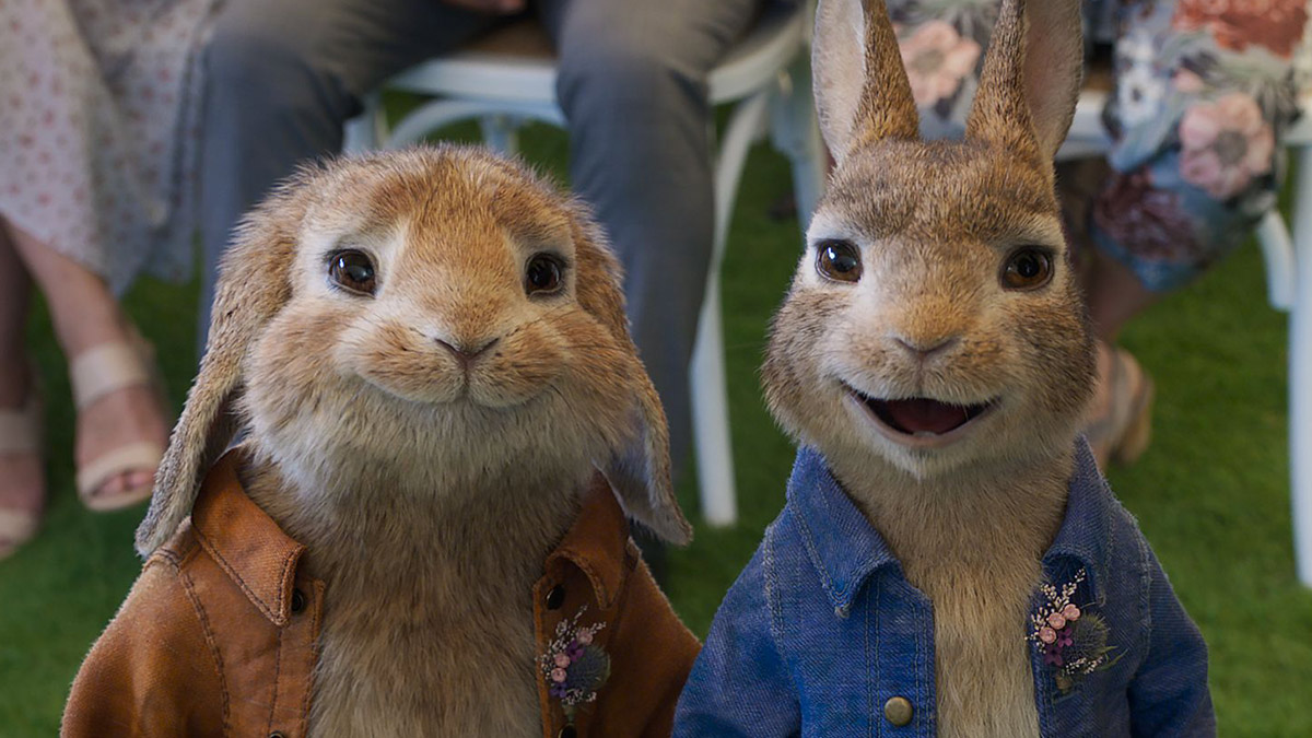 Peter Rabbit 2 on the Virgin Media Store