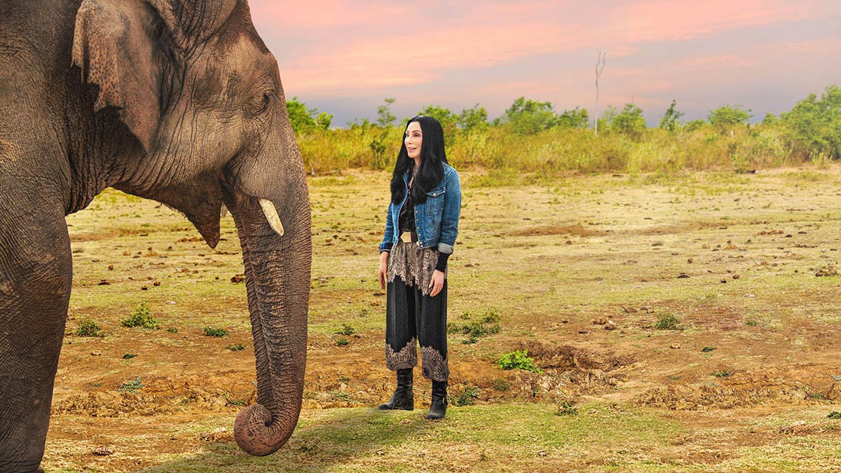 Cher And The Loneliest Elephant