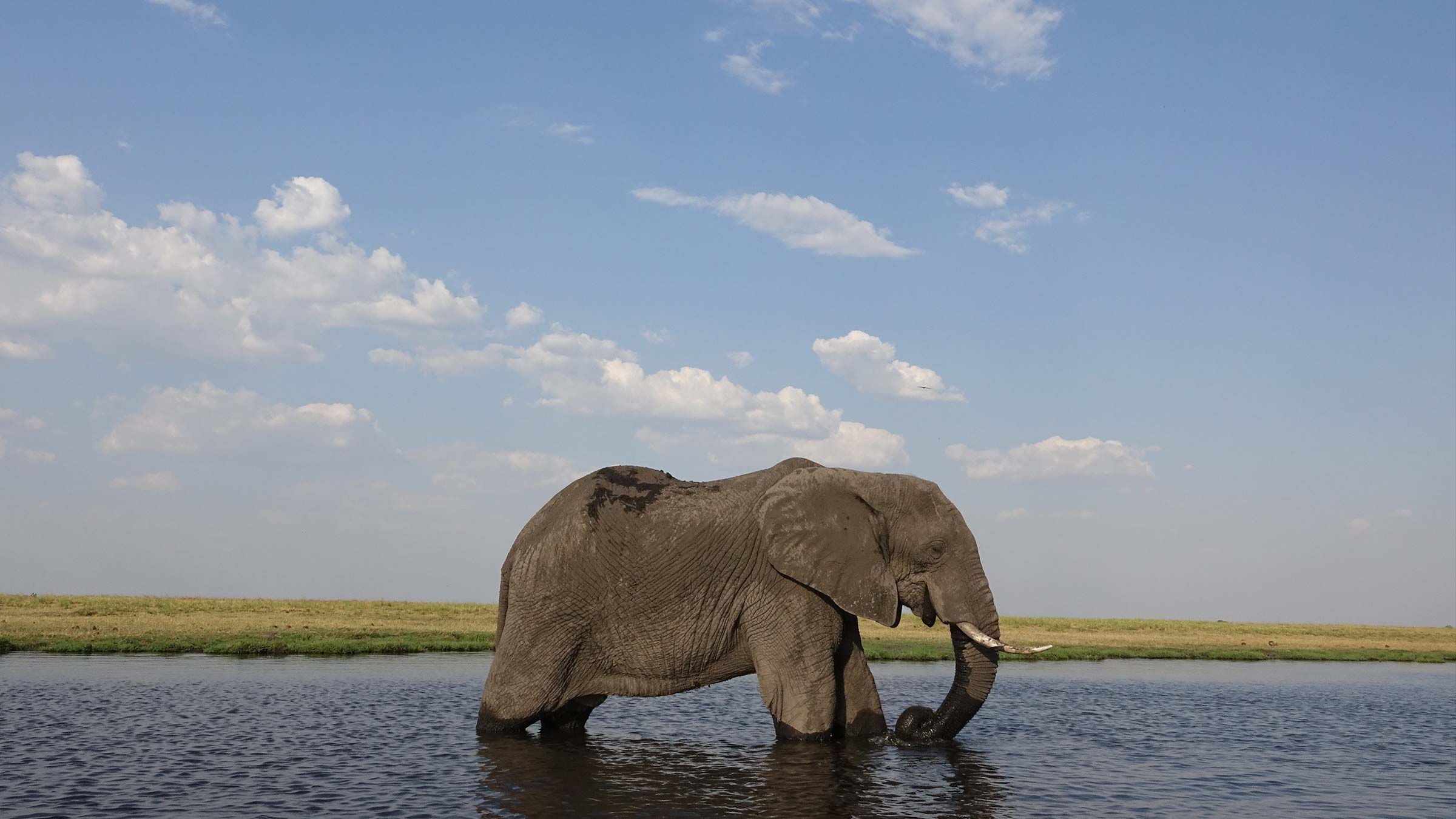 What to watch on Virgin TV Ultra HD TV shows movies August 2023