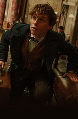 Fantastic Beasts And Where To Find Them