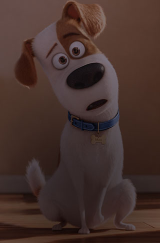 the secret life of pets watch online 123movies