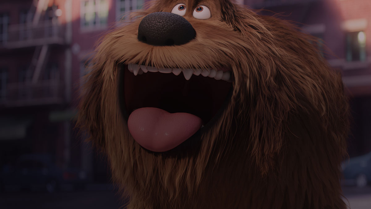 Secret Life Of Pets