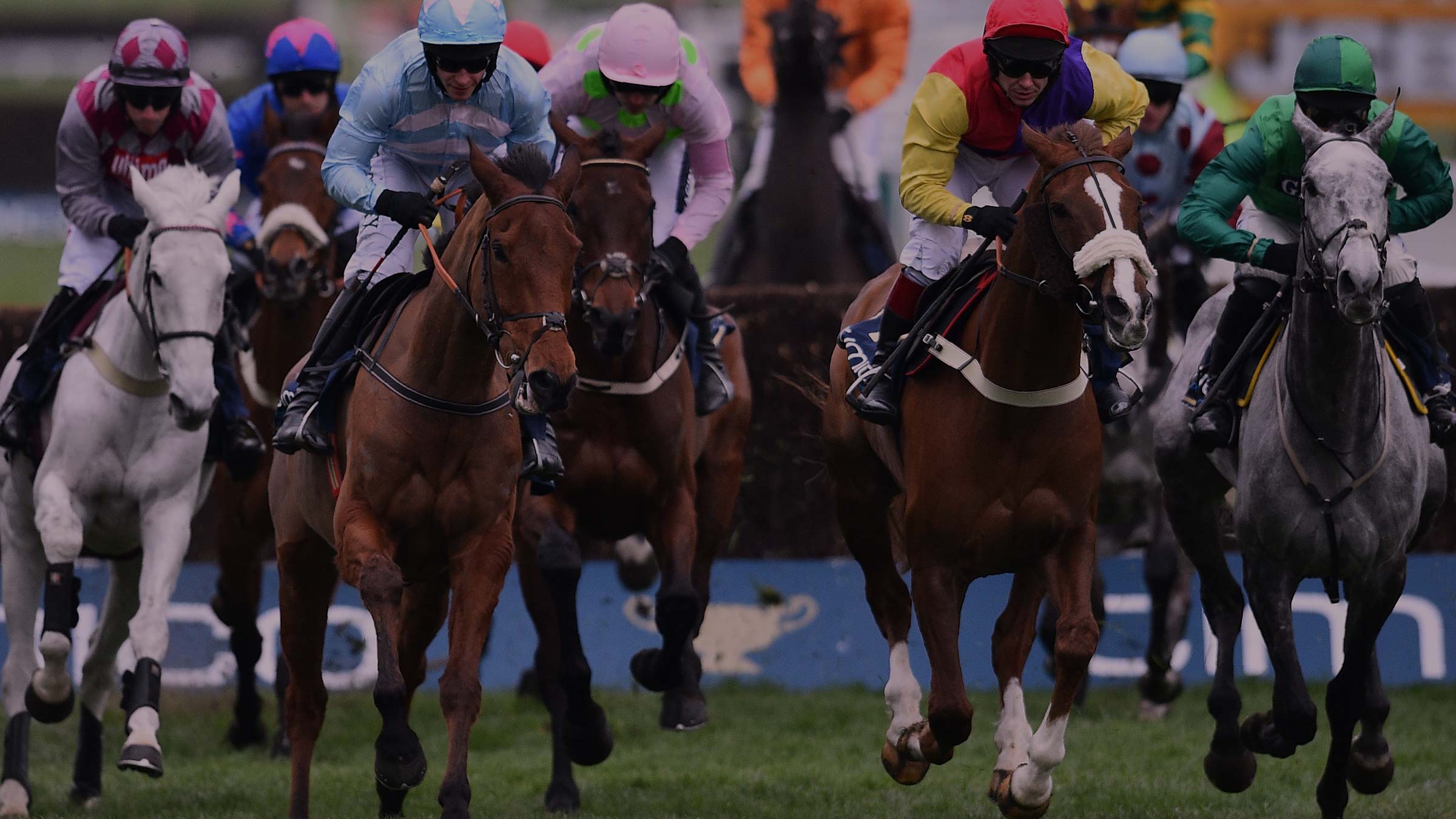 Cheltenham and Doncaster horse racing