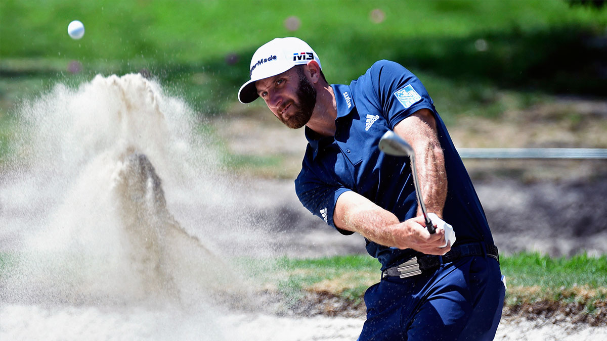 Dustin Johnson