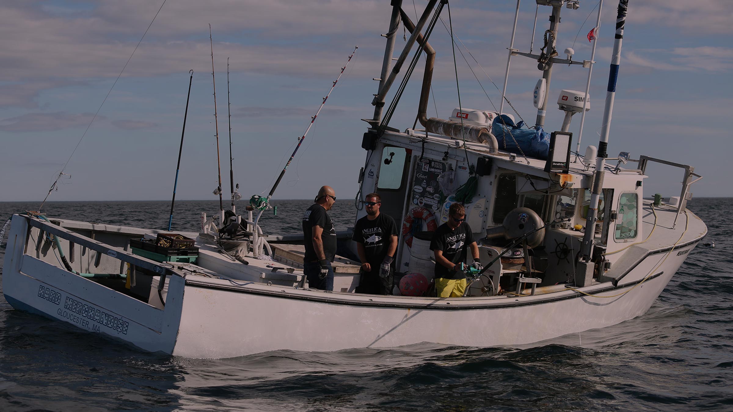 National Geographic Channel round-up
