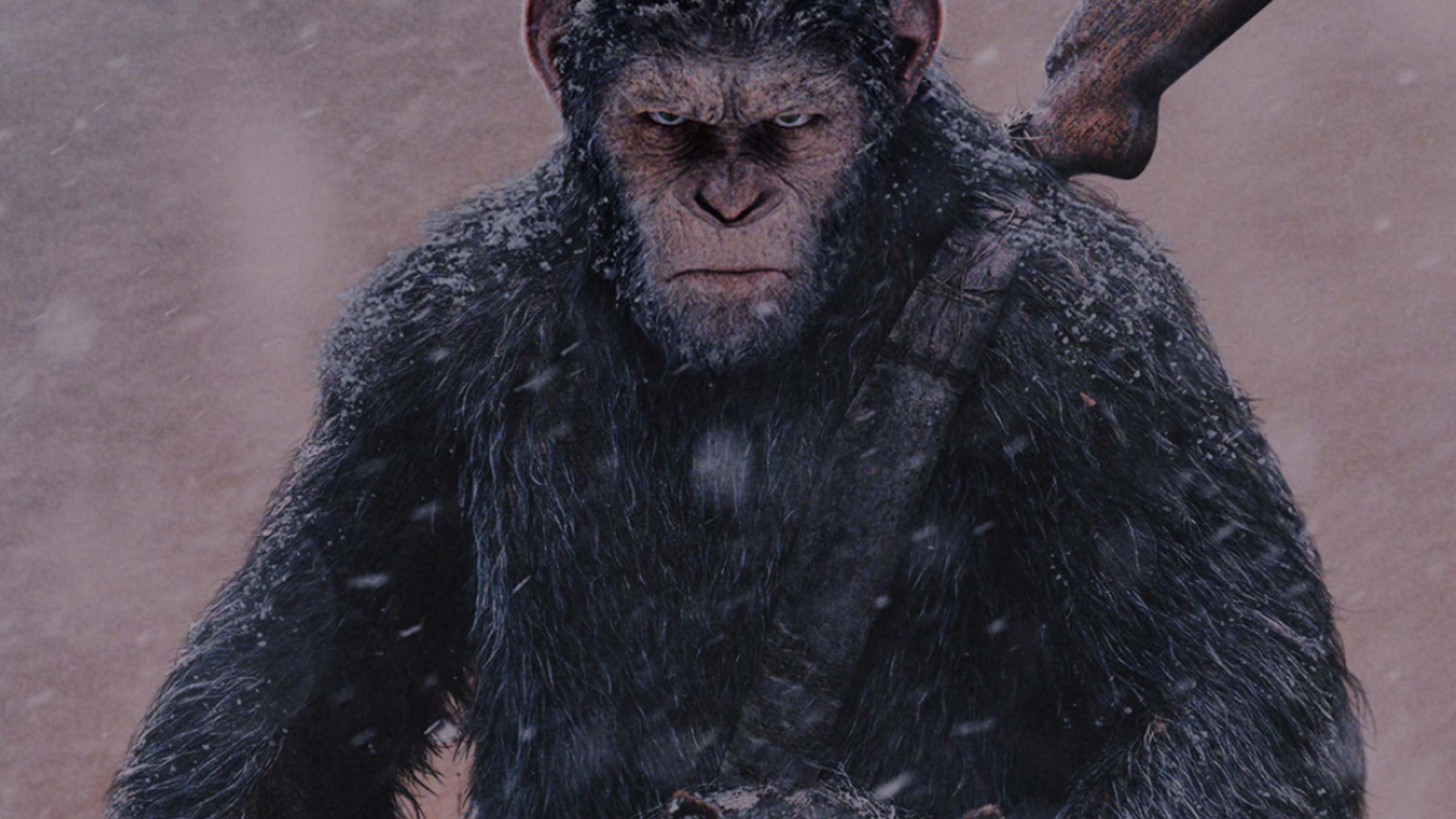 Caesar in War For The Planet Of The Apes