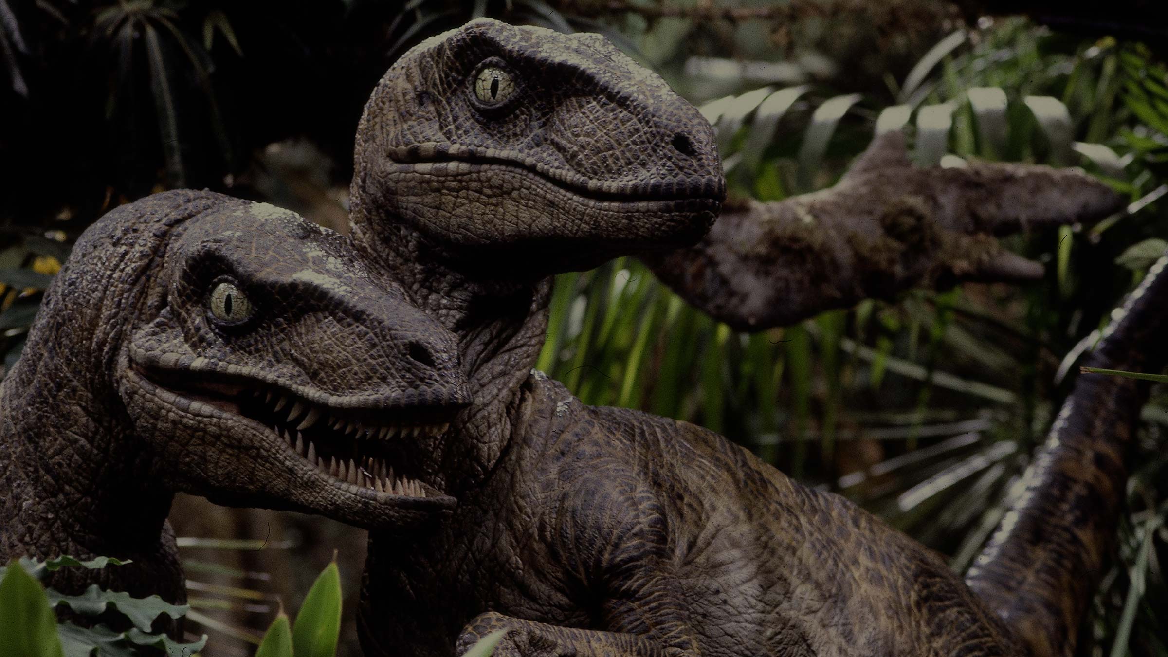 Jurassic Park