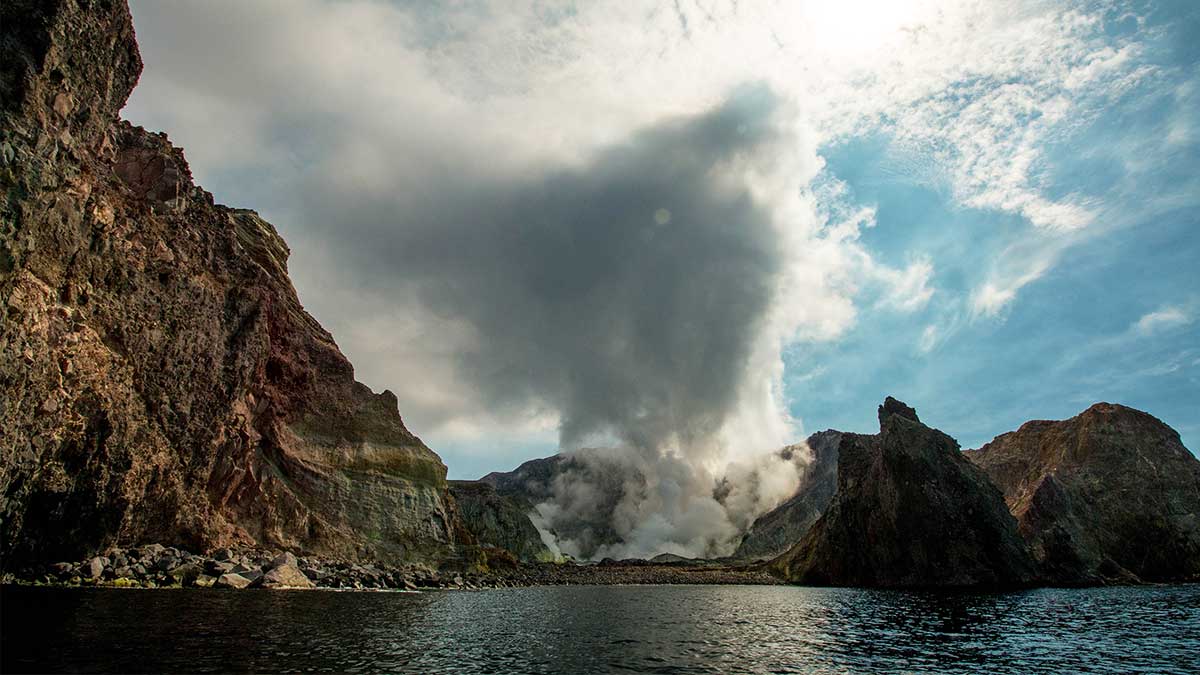 Wildest New Zealand